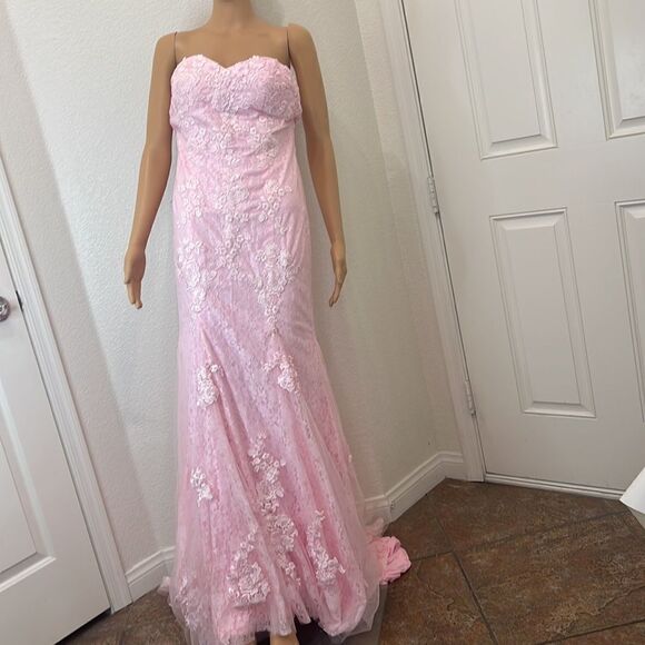 Hebron Pink Wedding Dress Sheer Embroidered Floral Lace High End - Picture 2 of 13